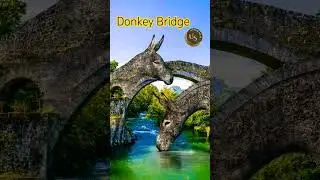 ✨ The Donkey Bridge &ndash; Surreal Art That Bends Reality! 🎨🐴