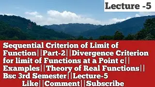 Sequential Criterion of Limit of Functions|Part2|Divergence Criterion|Examples|Lecture-5|Bsc 3rd Sem