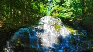 Ramona Falls by Skip Weeks