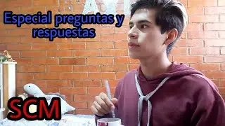 Especial preguntas y respuestas (2,000 subs)