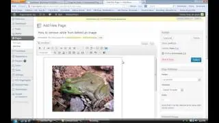 How to Remove a White Image Behind an Image in WordPress : Taking Advantage of WordPress