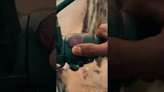 🦁&hellip;&hellip;#reels #viralvideo #contentcreator #lion #wildlife #bullet350 #shorts #youtubeshorts