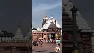 Lord Jagannath Puri #shorts #trending #viral