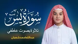 سورة يس (كاملة) ليطمئن قلبك: لراحة نفسية  القارئ عبدالله أحمد شعبان Surah Yasin By Abdullah Shaban