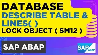 20 - Block Processing of Table in SAP ABAP | DESCRIBE TABLE  in ABAP |  LINES | Lock Object in ABAP
