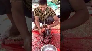 Amazing big fish cutting skills #fish #fishlife #funny #viral #shorts #fishcutting
