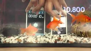 iPhone 5 Vs Samsung Galaxy s4 Water Test In Aquarium Must Watch