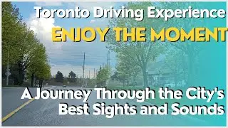 Toronto Driving Experience: A Journey Through the City's Best Sights and Sounds