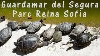 Reina Sofia Park in Guardamar del Segura (Places to go in Spain)