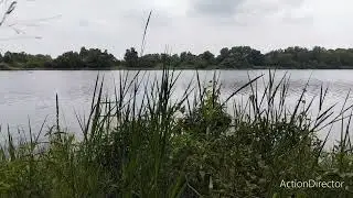 @Seliweran9867 Helping a cat trapped in a swamp