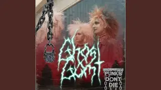 PUNKS NEVER DIE