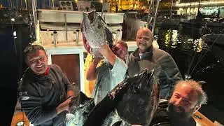 Early tuna season Madeira 2023