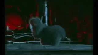 Fuzzy donkey Shrek animation glitch