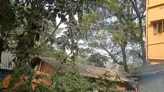 এখনকার জিনিষে কোনো সাদ বা গন্ধ কিছুই পাওয়া যায় না 
