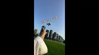 Flying Pets #Gyro Flying Hands# Cute Pets#Small Flying Squirrels