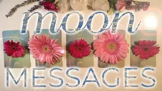 Pick a Flower Oracle Reading🌙🌸 What You Need to Hear RIGHT NOW