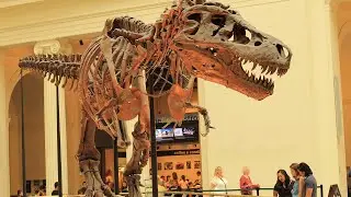 Houston Museum of Natural Science, Sugarland
