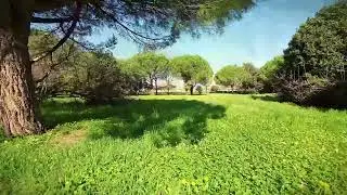 Spring time // Cinelog 25 - Dji o3