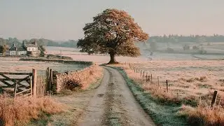 a playlist for reading love stories