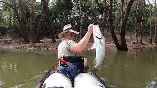 BIGGER BARRAS, SOOTIES and TOGAS | Wild River Adventure - Part 5