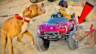 Alfa Ne Attack Kara Daya😱 VIU Ki Car Se Off Roading