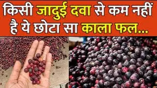 Benefits Of Phalsa:गर्मियों में फालसा खाने से मिलते हैं अद्भुत फायदे | फालसा खाने से क्या होता है |