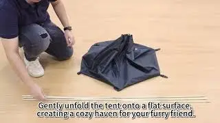 Step by Step Guide  How to Install Your Dog Camping Tent