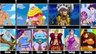 October Birthdays in One Piece