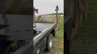 2006 Ford F-350 XLT SuperDuty with Bale Bed