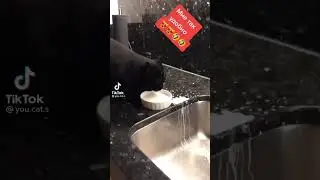КОТ И МОЛОЧКО 💦