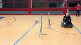 Para-Agility-Training von Bella & Shuba vom 24. Oktober 2012