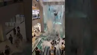 real vs ai.?