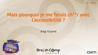 Mais pourquoi je me ferais ch**r avec l'accessibilité ? - Angi Guyard
