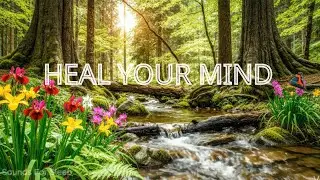 Remove Negative Energy: Soothing River & Birds for Stress Relief & Healing