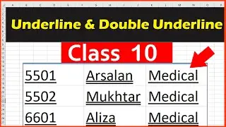 How to Underline & Double Underline your text in Microsoft Excel