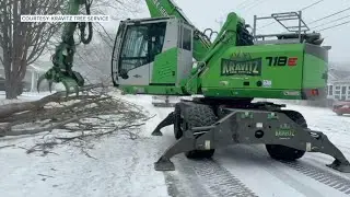 'It's kind of like the perfect storm:' Wind and snow blast Lake Erie shoreline, toppling trees