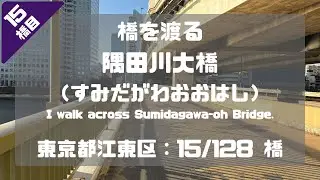 隅田川大橋（すみだがわおおはし）を渡る（東京都江東区：15/128橋）