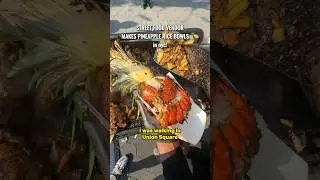 Street food vendor makes Pineapple Rice Bowls in NYC! #food #foodvlog