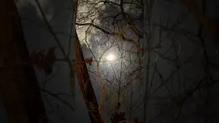 #aishorts #tunder #tundernight #nightlife #autumn