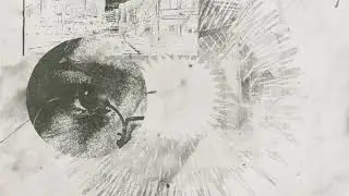 gyrofield - Shrimp