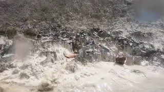 Going for a swim in the Brazilian Savanna