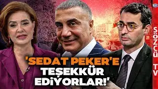 Sedat Peker'in Güven İndeksi AK Parti'yi Geçti! Özlem Gürses ve Barış Terkoğlu'ndan Çarpıcı Çıkış