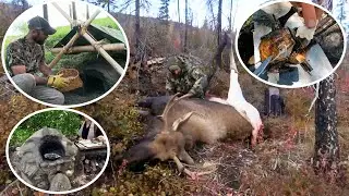 Alone：The survival champions of previous seasons return to build shelters and make roast chicken