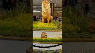 The Iconic Golden Lion Statue inside MGM Grand #lasvegas #mgmgrand #mgmgrandlasvegas #usa #vacation