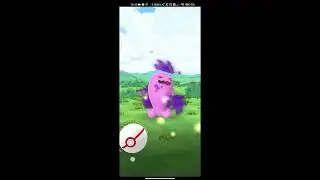 Pok&eacute;mon GO: Catching Shiny Shadow Wobbuffet & Mythical Kaldeo for the first time!