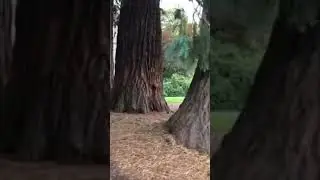 Park at Wash Co OR Courthouse