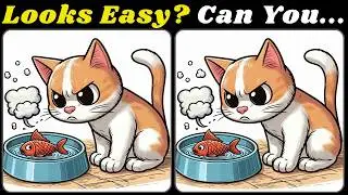 Spot The Difference : It Looks Easy? Can You Find all? 📶389 [Observation Skills]