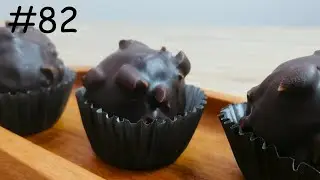 #82 | 🍫 Exploring the World of Chocolate | Indulgent Treats and Exciting Recipes! 🌟