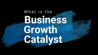 Business Growth Catalyst Program Outline