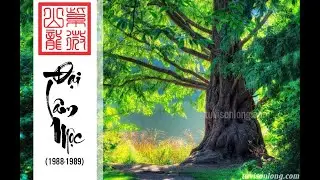 Cuộc đời Vận mệnh Đại Lâm Mộc 1988, 1989 - Cái gì cũng thiếu chỉ có cái 